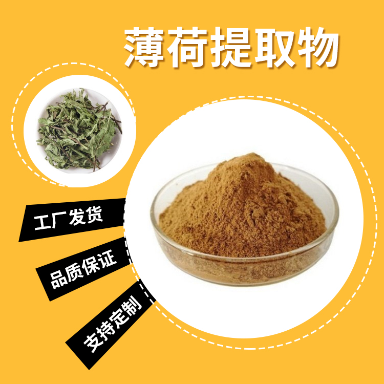 薄荷提取物-21