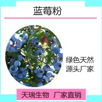 蓝莓粉 蓝莓果粉 蓝莓速溶粉