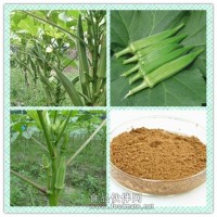 黄秋葵提取物粉 黄秋葵浸膏价格