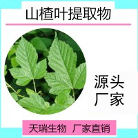 山楂叶提取物  山楂叶黄酮天瑞生物厂家