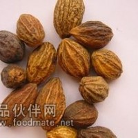 诃子提取物粉 诃子浸膏价格