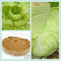 白菜提取物粉 白菜浸膏价格