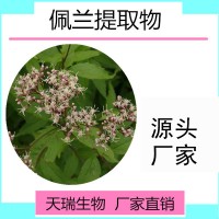 佩兰提取物佩兰速溶粉天瑞生物现货包邮