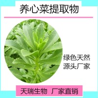 水溶性养心菜粉