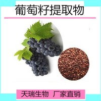 葡萄籽提取物 原花青素95%厂家批发包邮