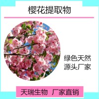 樱花粉 樱花浓缩汁粉天瑞生物现货