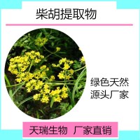 柴胡提取物 柴胡粉  目数可定制比例提取