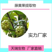 藤黄果粉  羟基柠檬酸 喷雾干燥粉 天瑞生物现货