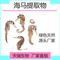 海马提取物 海马粉天瑞生物现货