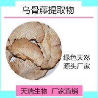 乌骨藤提取物 乌骨藤粉比例提取天瑞生物现货