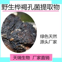 白桦茸提取物 白桦茸粉天瑞生物现货