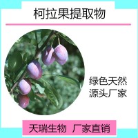 柯拉果粉  柯拉果浓缩汁粉喷雾干燥粉 天瑞生物现货