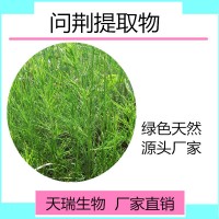 问荆粉 问荆浓缩粉天瑞生物