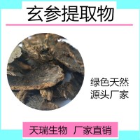 玄参粉 玄参生粉天瑞生物厂家现货包邮