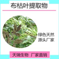 布枯叶粉 布枯叶浸膏粉现货厂家