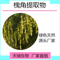 槐角提取物10：1  槐角粉天瑞生物