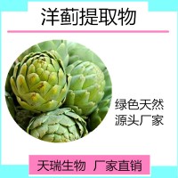 洋蓟提取物 洋蓟粉全水溶水果粉天瑞生物厂家现货