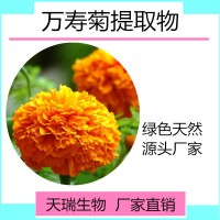 万寿菊提取物 万寿菊浓缩粉天瑞生物