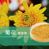 菊花提取物 菊花黄酮  比例提取