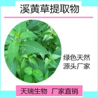 溪黄草粉 溪黄草浸膏天瑞生物25公斤/纸板桶