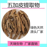 五加皮粉 五加皮浸膏粉比例提取