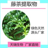 藤茶提取物 藤茶粉天瑞生物现货