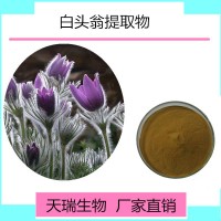 紫草提取物10:1现货包邮