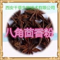 八角茴香水溶粉专业定制大料浸膏颗粒