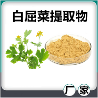 白屈菜提取物 水溶性白屈菜浓缩速溶粉 斯诺特生物供应