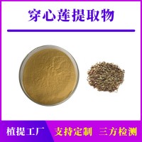 穿心莲提取物 穿心莲内酯 支持定制 水溶性粉末 多种规格