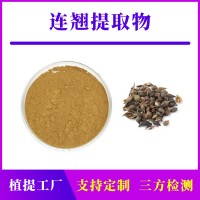 连翘提取物 连翘苷 支持定制 水溶性粉末 多种规格