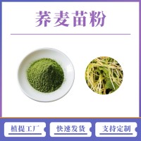 荞麦苗提取物 荞麦苗粉 支持定制 水溶性粉末 多种规格