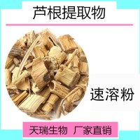 鲜芦根提取物 SC源头厂家生产批发鲜芦根喷雾干燥粉