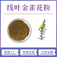 线叶金雀花提取物 支持定制 水溶性粉末 多种规格