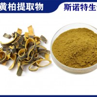 黄柏提取物黄连素 植提厂家供应黄柏粉