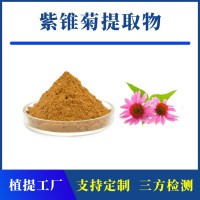 紫锥菊提取物 支持定制 水溶性粉末 多种规格