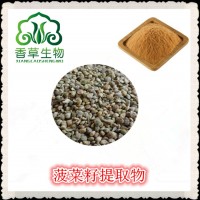 菠菜籽提取物 菠菜籽粉 菠菜籽提取液 浓缩粉30:1香草厂家