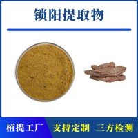 锁阳提取物 支持定制 水溶性粉末 多种规格