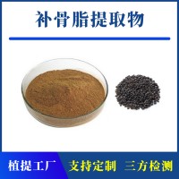 补骨脂提取物 支持定制 水溶性粉末 多种规格